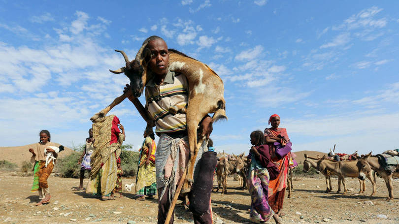 Somália

Um menino carrega um bode nas costas na região de Awdal, Somália. A região do chifre da África vem sofrendo com as secas severas, fruto do fenômeno El Niño. Ao todo, a ONU estima que 1,7 milhão de pessoas estejam em situação de vulnerabilidade e precisam de ajuda humanitária. 