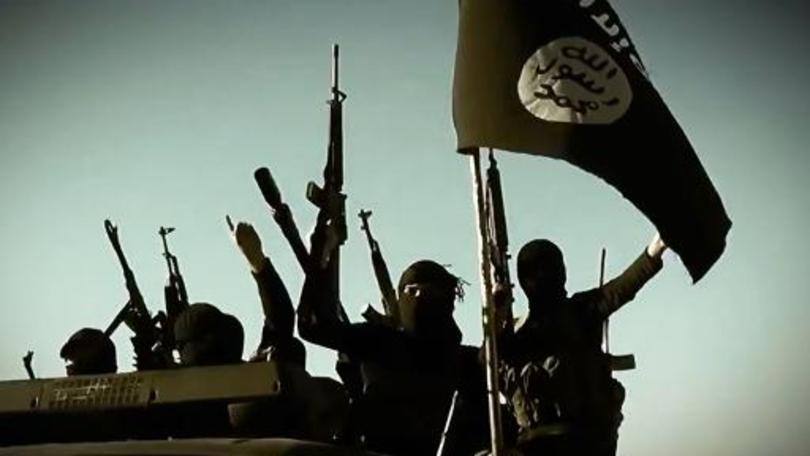 Terrorismo: "Acredito que haja alguma conexão com o Estado Islâmico, embora isto não seja uma informação oficial", afirmou o senador democrata