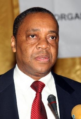 O presidente da Agência Angolana de Regulação e Supervisão de Seguros (ARSEG)