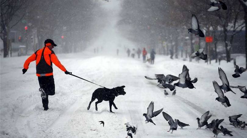 Homem corre com seu cachorro durante tempestade em Washington: pequenos grupos de pessoas se aventuravam fora de casa