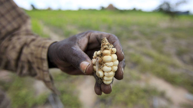 Seca e fome: "No total, 2,44 milhões de pessoas se encontram em situação de insegurança alimentar"