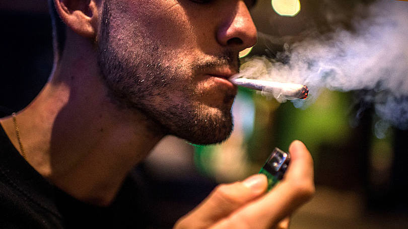 Maconha: a grama será vendida a um preço próimo a R$ 4 a grama