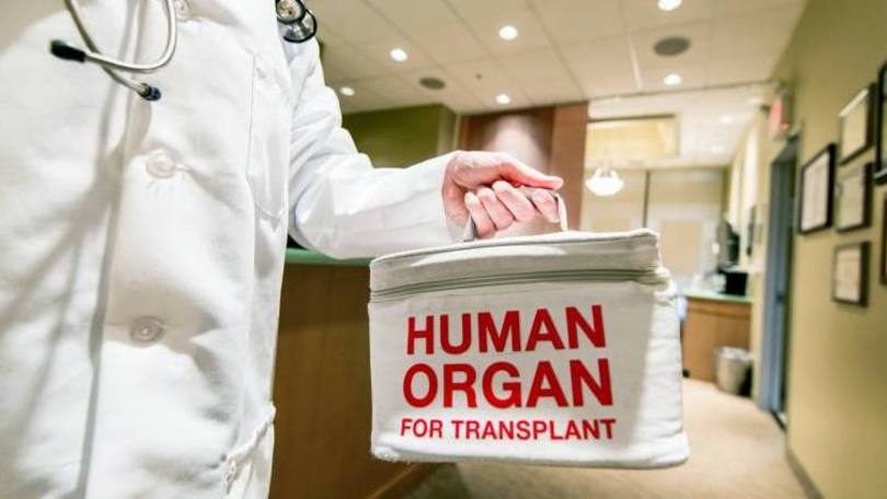 Doação de órgãos: "Este é um projeto que salva vidas e permite também que muitas pessoas tenham uma qualidade de vida digna"