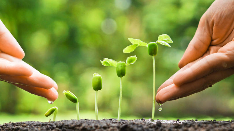 ONGs: um texto aprovado quase por unanimidade amplia os poderes da polícia sobre estas organizações e as proíbe de recrutar membros ou recolher fundos no país