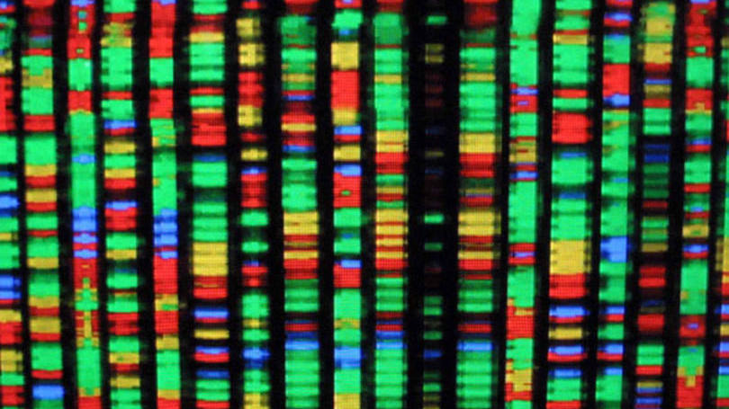 Genoma: projeto que pode revolucionar biotecnologia foi criticado por não abordar questões "éticas e teológicas"