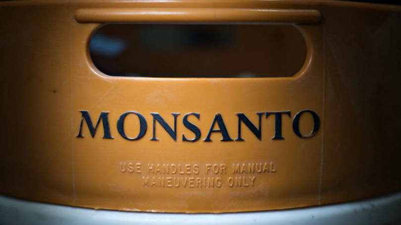 Logo da Monsanto: a empresa usa o pesticida como componente de seu produto Roundup