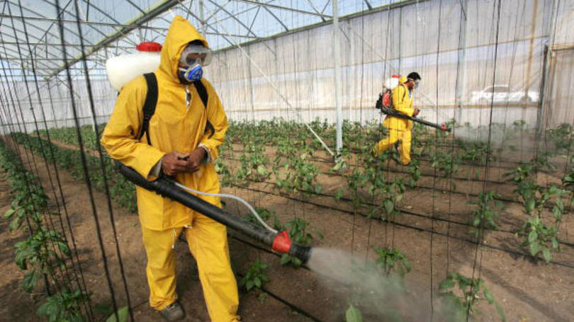 Pesticida: quando o risco for muito alto e não existir razão para continuar utilizando, o produto pode ser totalmente abolido