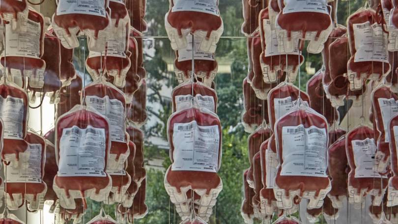 Sangue: a taxa média de doação de sangue é nove vezes maior em países de alta renda do que nos de baixa renda