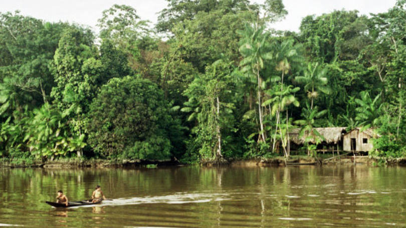 Amazônia: o pesquisador garantiu que a Amazônia equatoriana é uma região especialmente "vulnerável à perda de biodiversidade"