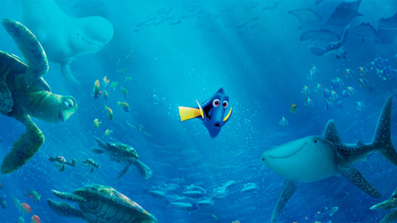 "Procurando Dory": Pixar usa a animação para tratar de um assunto muito complexo