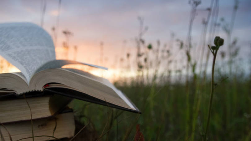 Livros: grupo envolvido esconde obras envolvidas em plástico para proteger contra a chuva