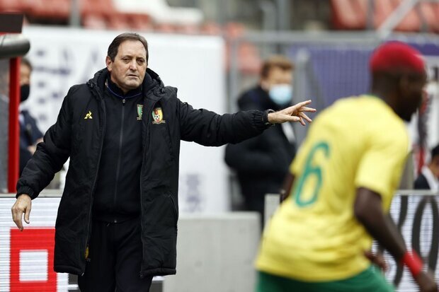 Os portugueses em dois tubarões