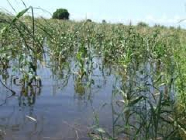 Chuva intensa causa prejuízos em Angoche