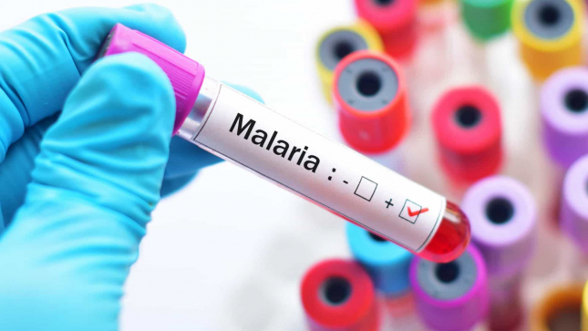 Malária matou 190 pessoas em Dezembro passado
