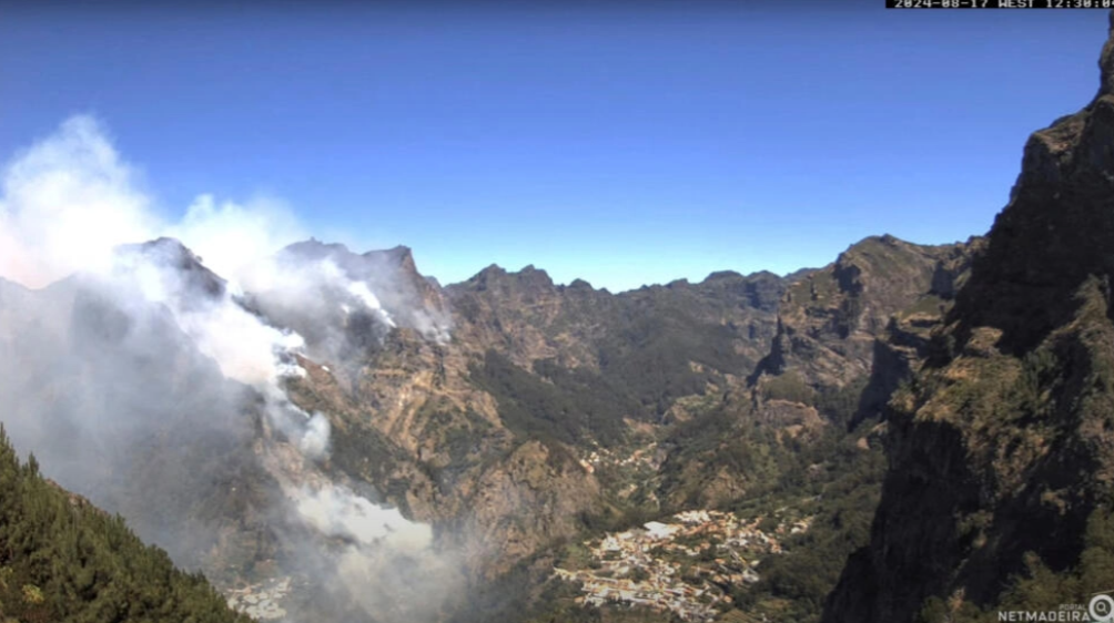 Incêndios na Madeira destroem áreas protegidas e "vegetação única"