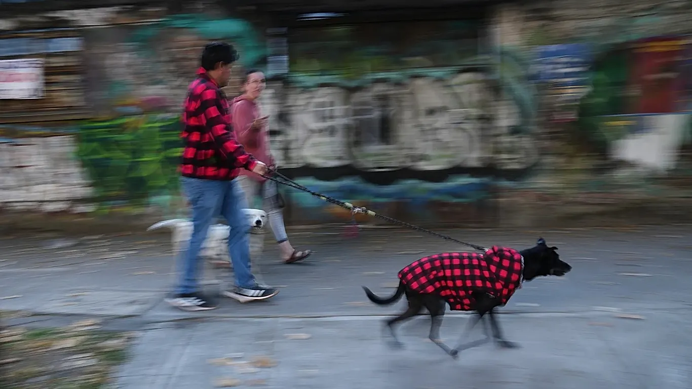 Sismo de magnitude preliminar de 6,5 abala o sul e o centro do México