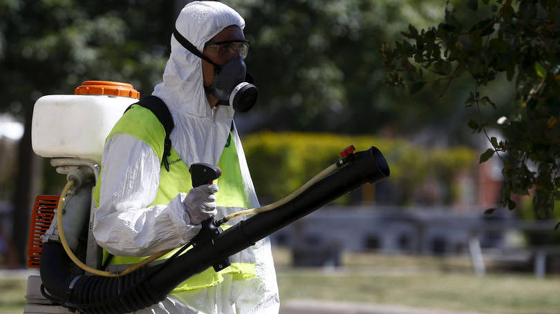 Zika: após ser descartado que se tratasse de dengue ou chicungunha, os resultados para zika deram positivos