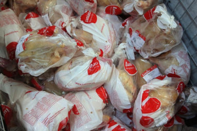 O director nacional de veterinária, no ministério da agricultura e segurança alimentar, Américo da Conceição