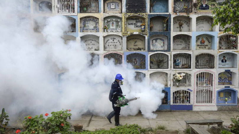 Zika:"Nossa posição é a mesma de sempre, cada país pode fazer o que parecer mais conveniente"