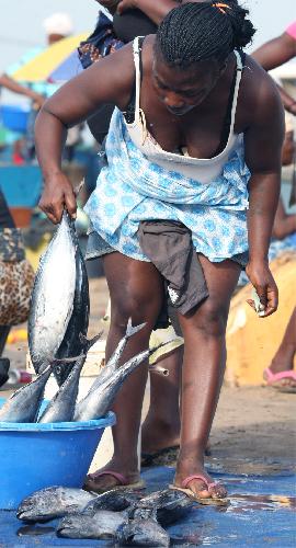 Venda de peixe na Mabunda é um atentado à saúde pública