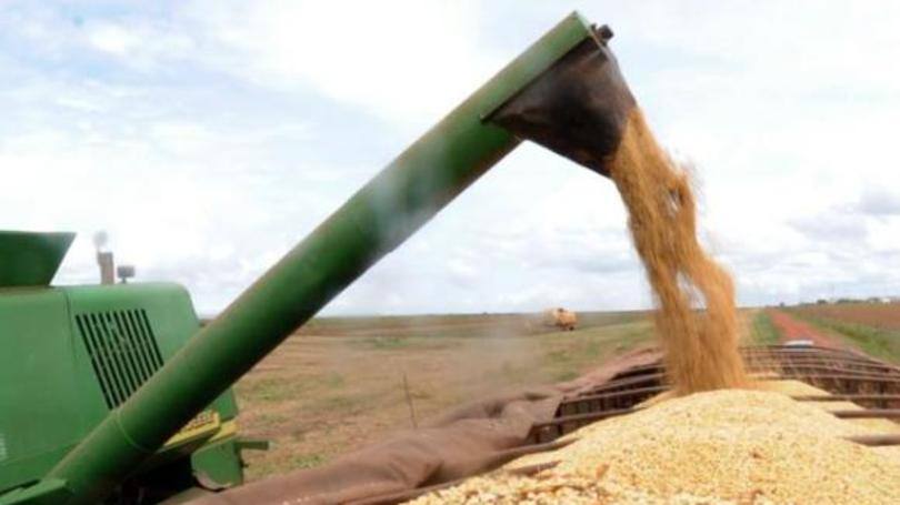 Pequim assinaram acordos sobre o controle de qualidade dos grãos, que tecnicamente abriram o mercado chinês para os grãos russos.