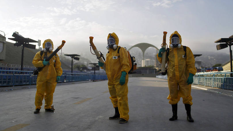 Zika: surto no Brasil pode ser combinação de diversos fatores