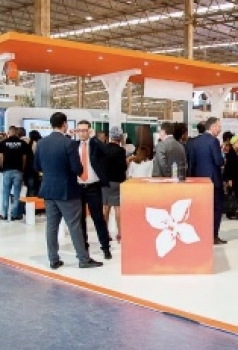 Lucro de seis bancos afundam em mais de 273 milhões USD no primeiro semestre